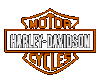 Harley Davidson Motor Company